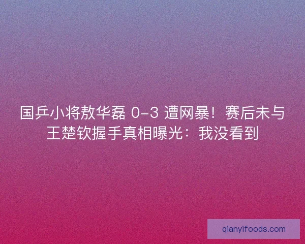 国乒小将敖华磊 0-3 遭网暴！赛后未与王楚钦握手真相曝光：我没看到